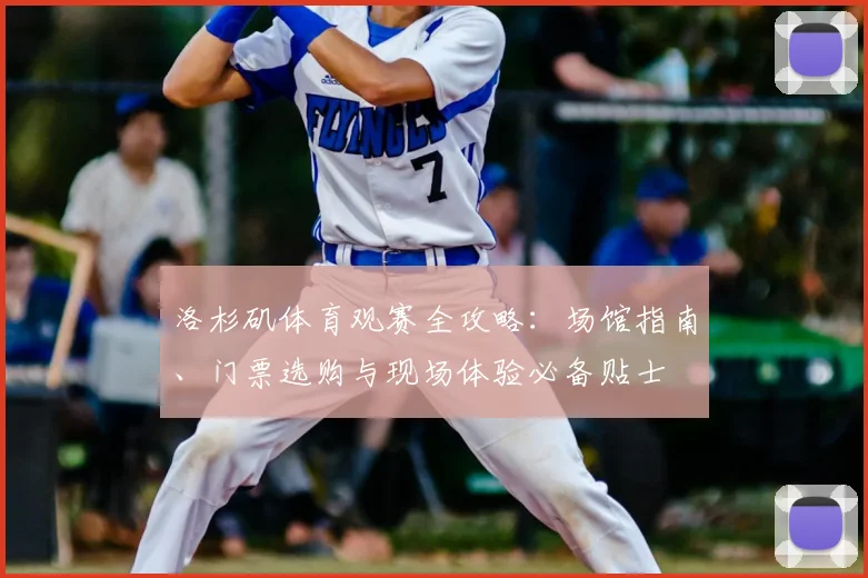 洛杉矶体育观赛全攻略：场馆指南、门票选购与现场体验必备贴士
