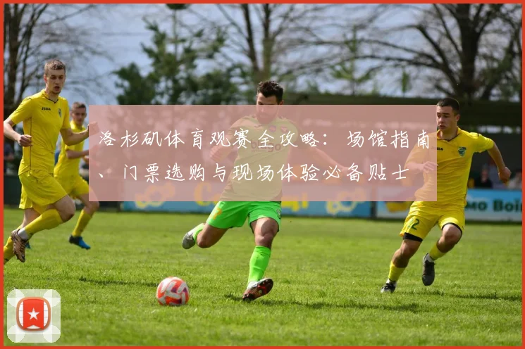 洛杉矶体育观赛全攻略:场馆指南、门票选购与现场体验必备贴士